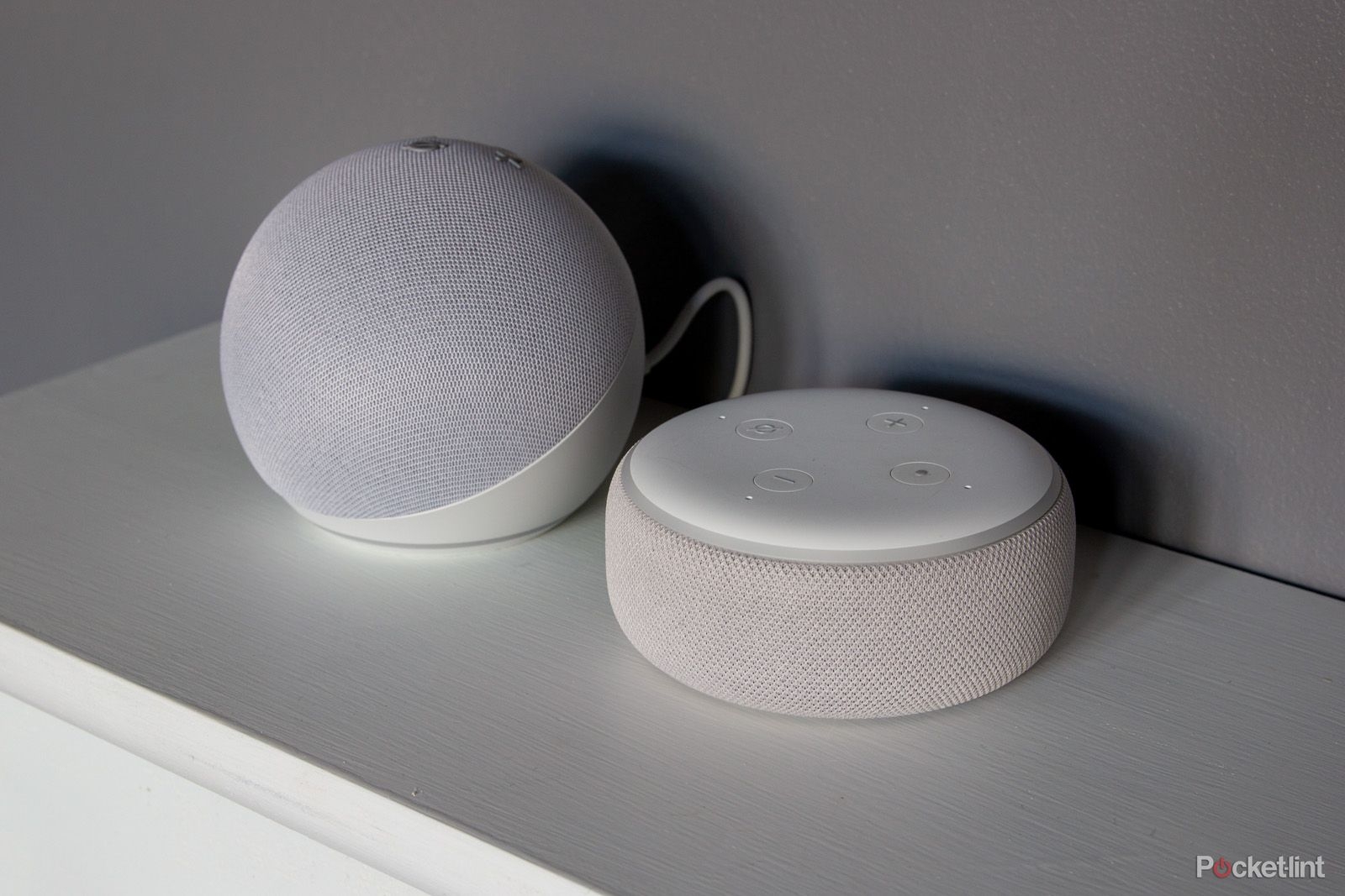 how to set up a echo dot