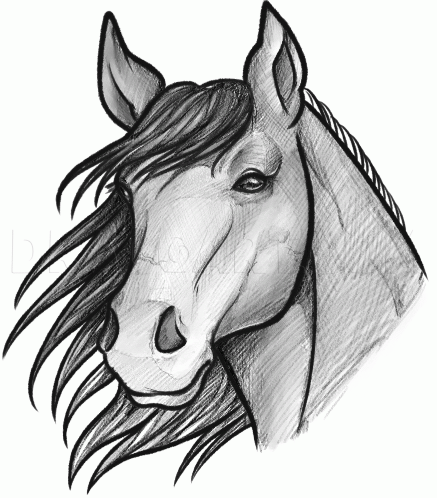 How To Sketch A Horse Drawing Step By Step By Dawn DragoArt