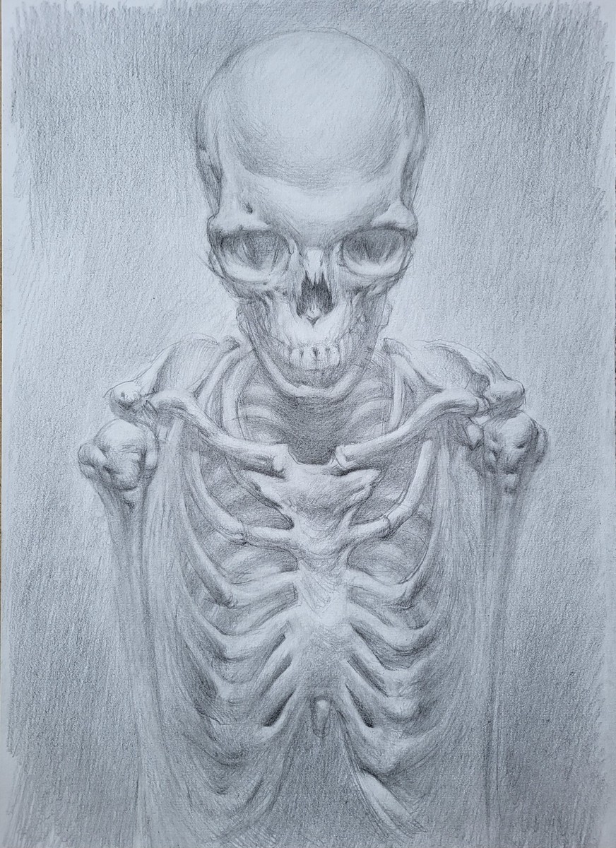 Human Skeleton Original Anatomy Drawing Graphite Pencil On Paper 10x14 Inch