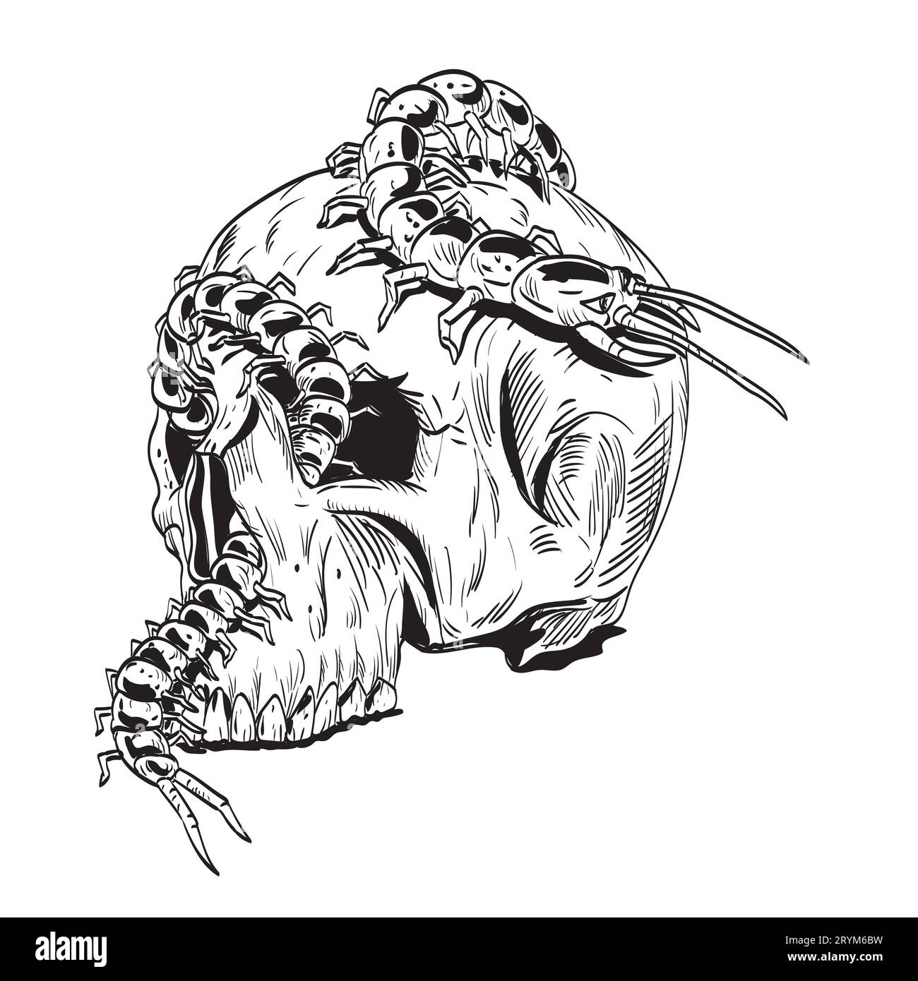 centipede drawing