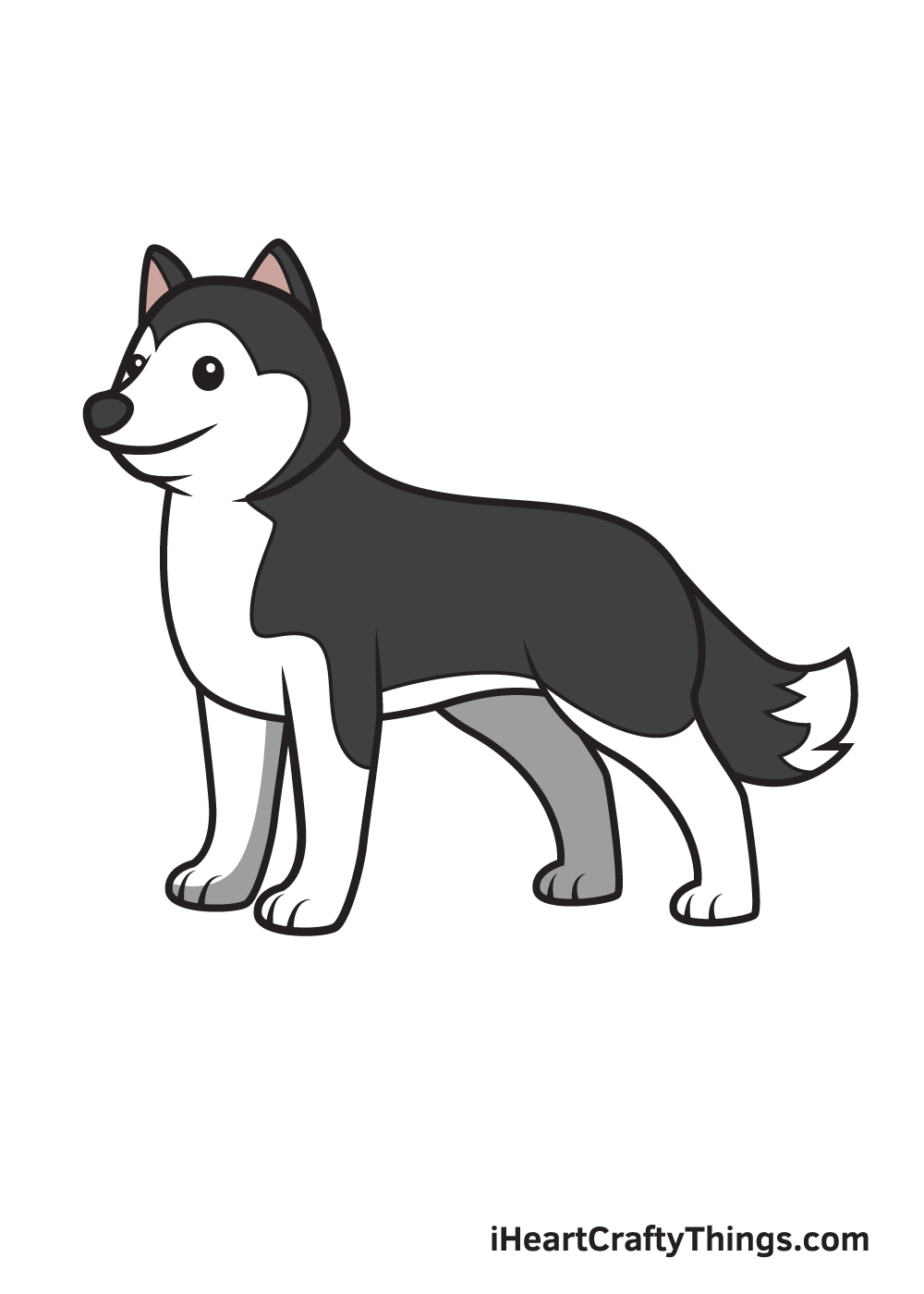 Husky Drawing How To Draw A Husky Step By Step