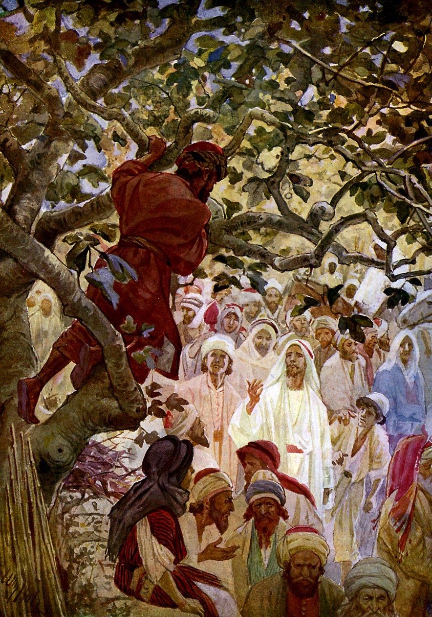 Jesus And Zacchaeus Bible