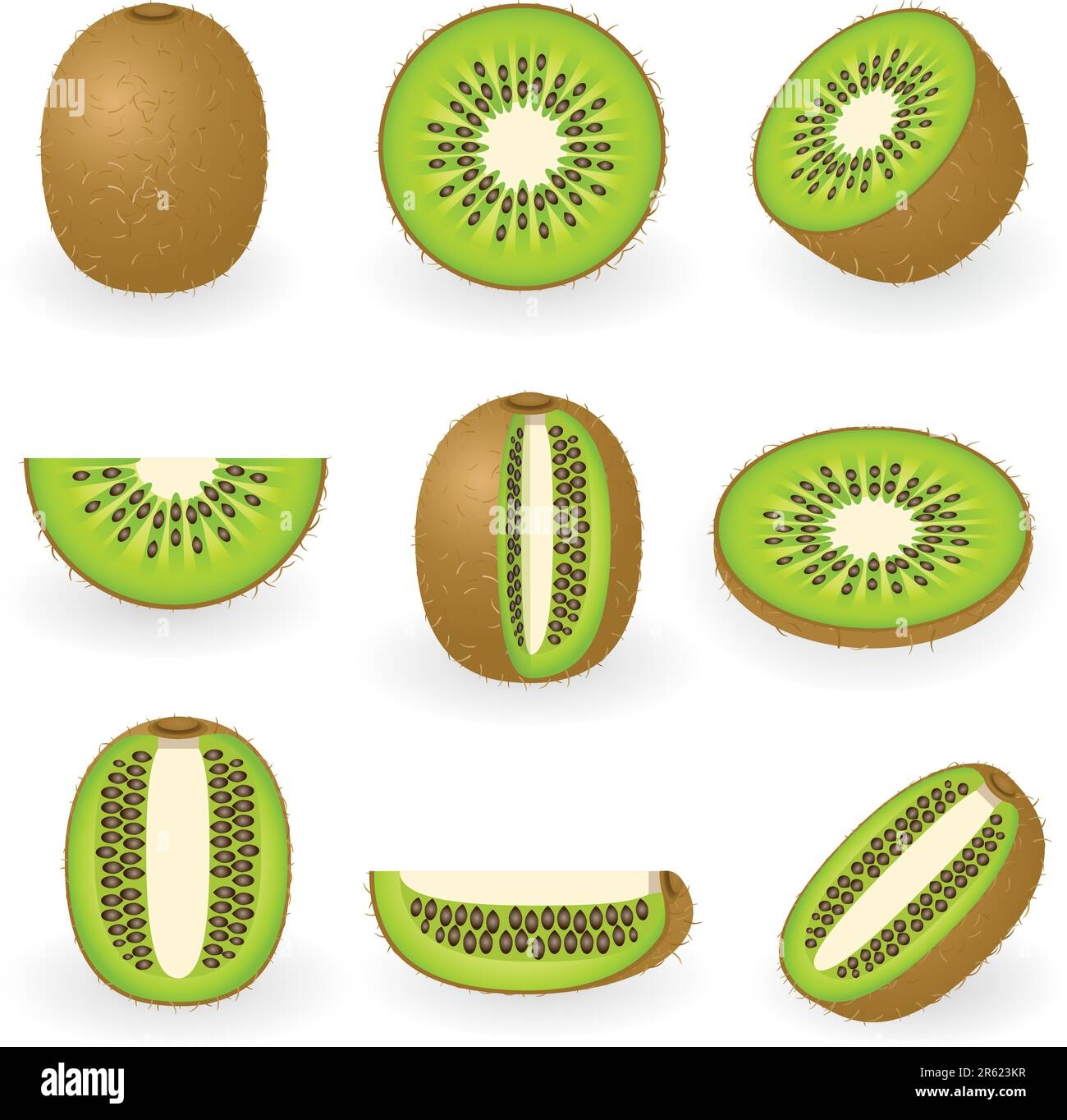 kiwi drawing