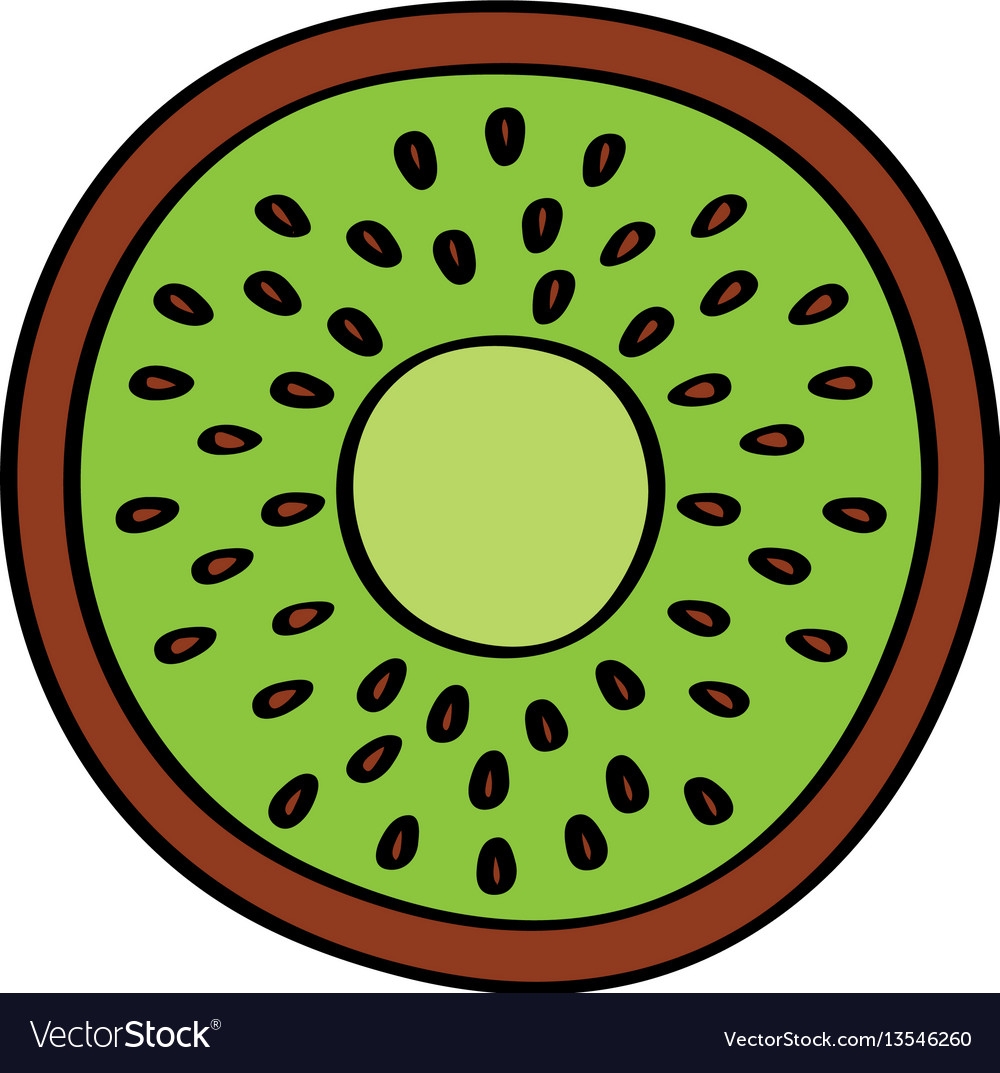 Kiwi Fresh Fruit Drawing Icon Royalty Free Vector Image