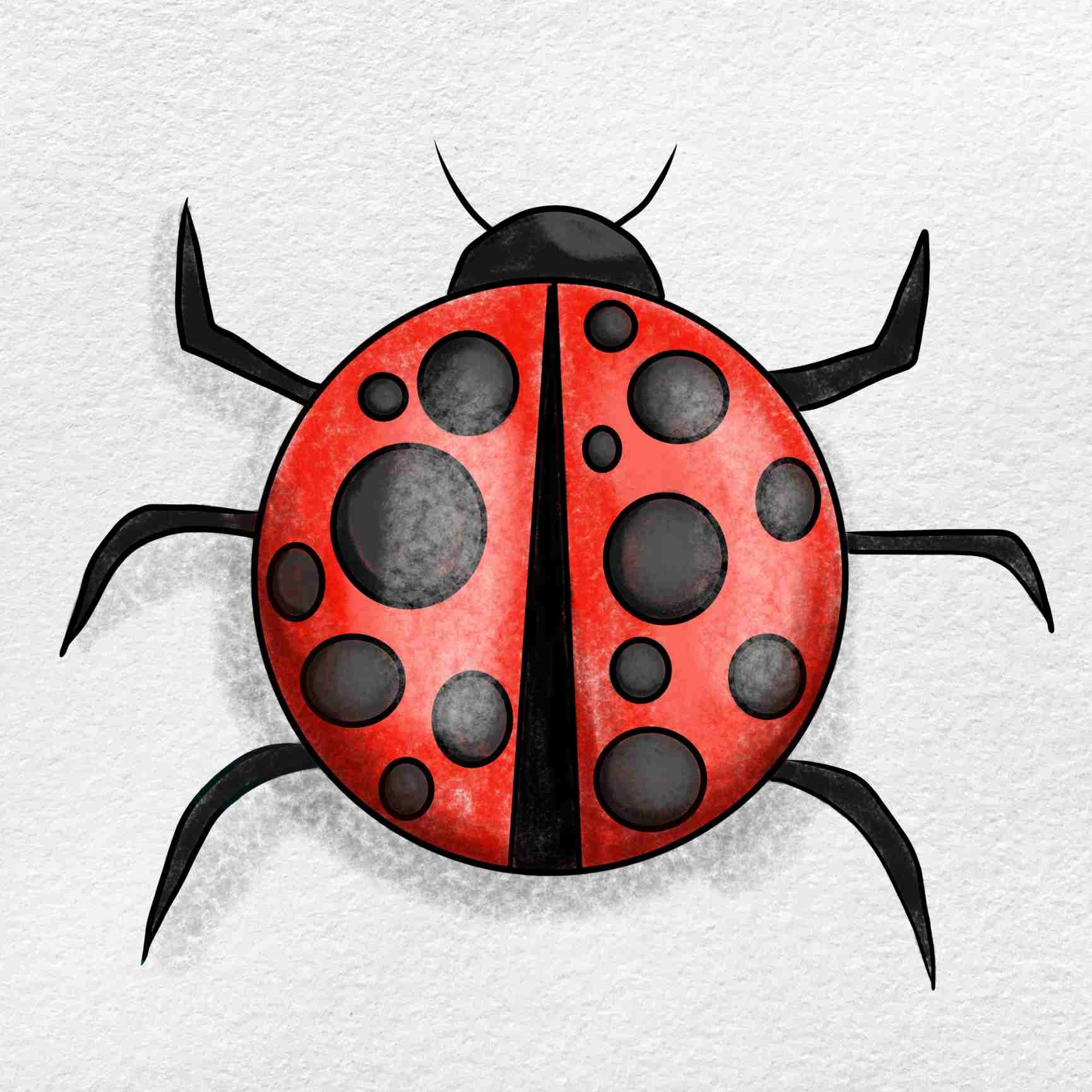 Ladybug Drawing HelloArtsy