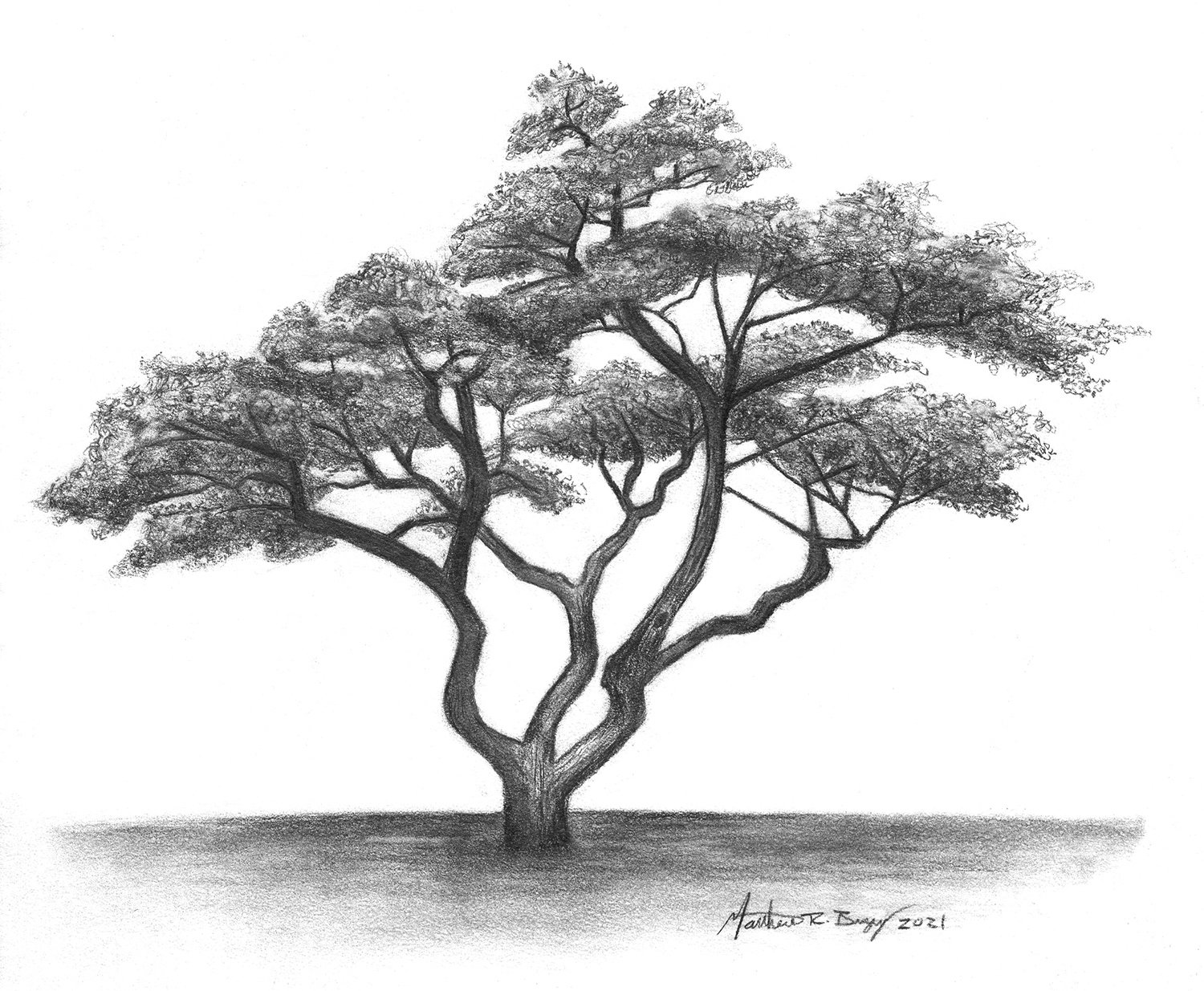 Landscapes U0026 Trees Dayton Art Institute