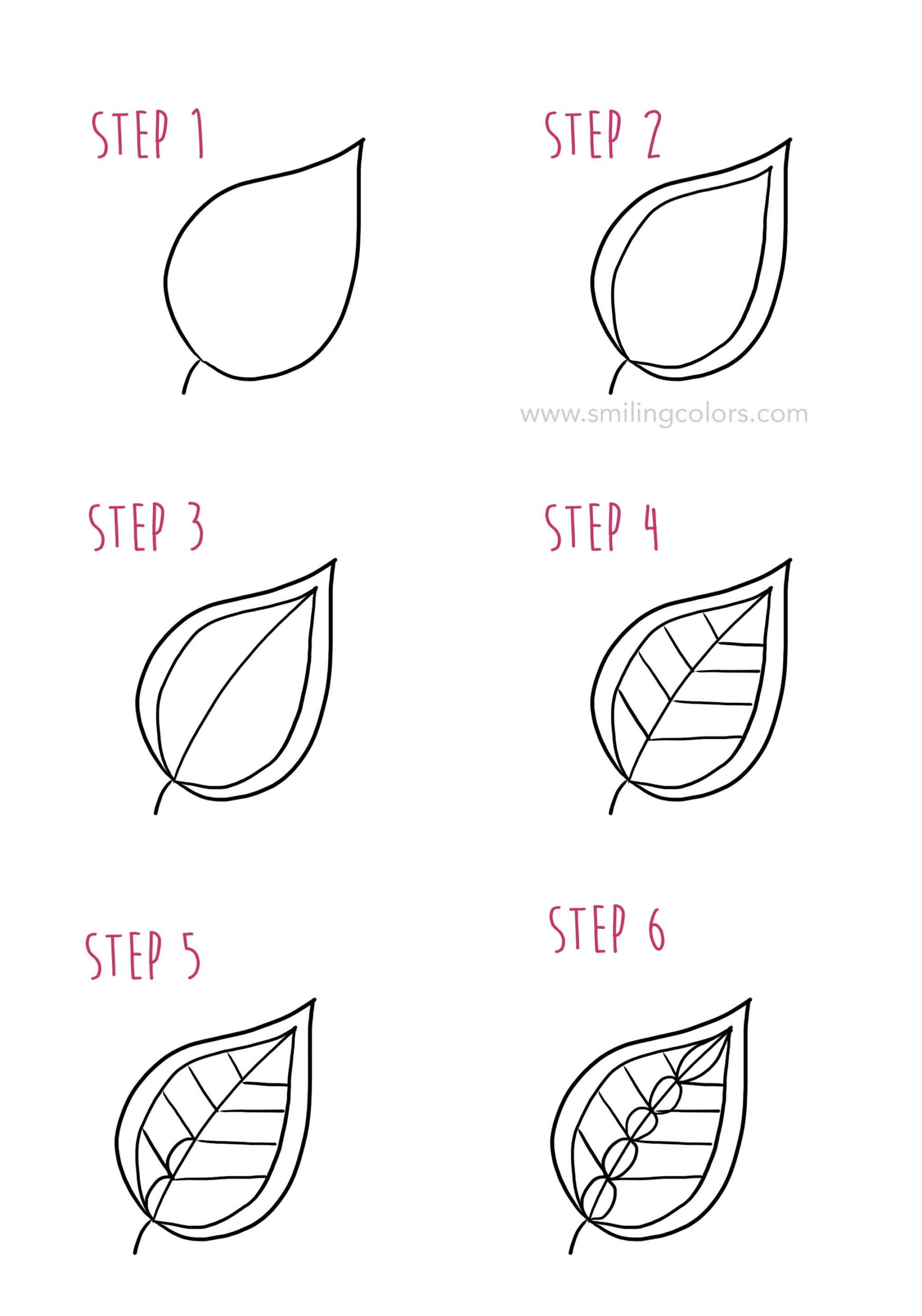 Leaf Drawing Step By Step 10 Simple Ways Smiling Colors