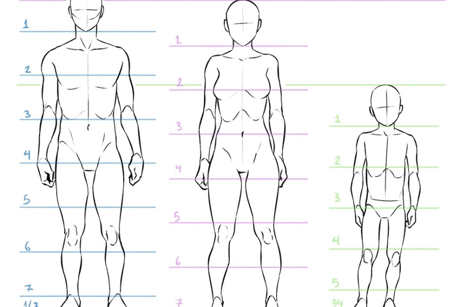 Learn Anatomy To Improve Drawing The Human Body Art Rocket