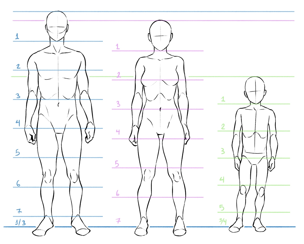 how to draw a male body