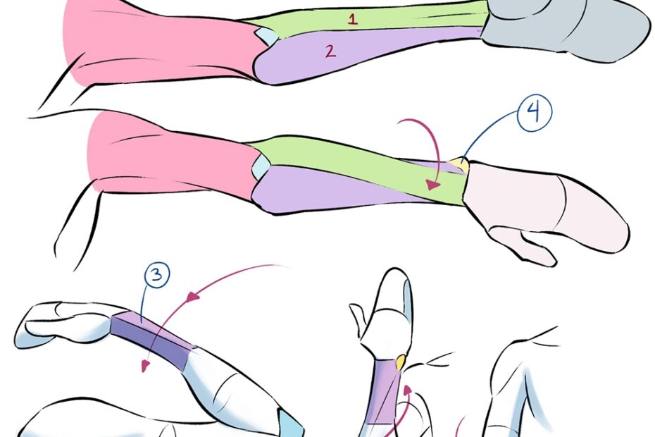 Learn Anatomy To Improve Drawing The Human Body Art Rocket