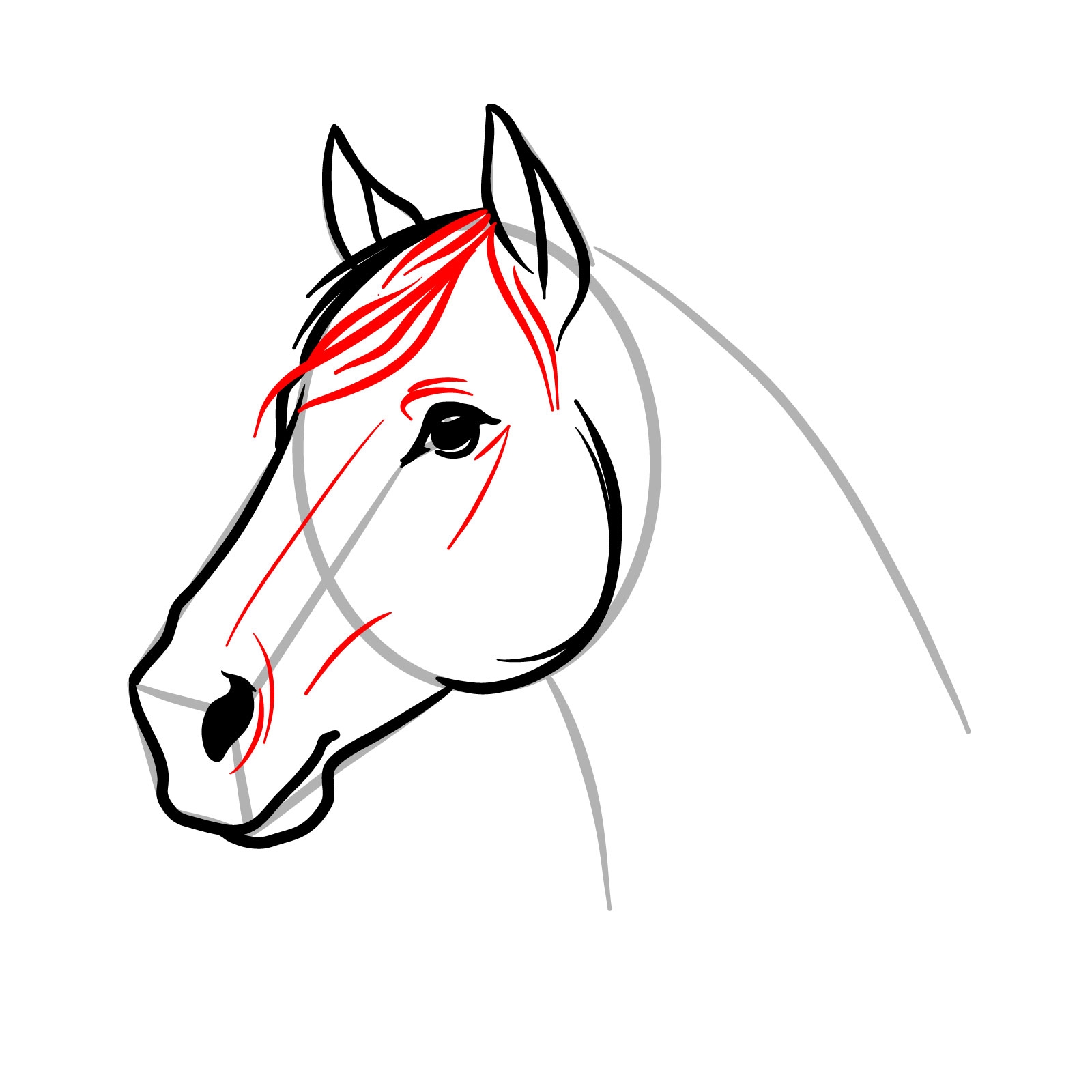 Learn How To Draw A Horse s Head From A Side View Easily
