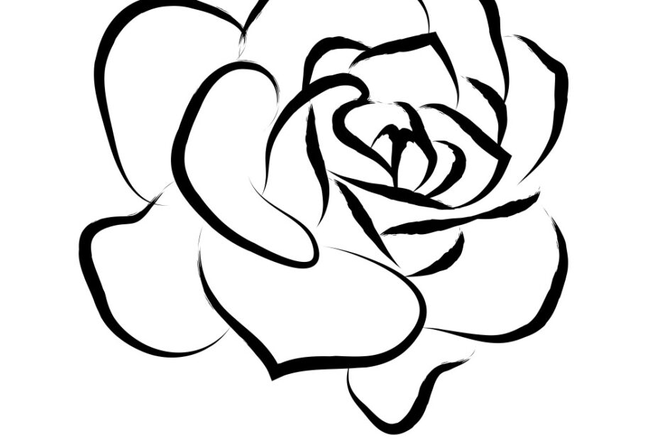 Line Drawing Black Roses In A White Background Vector Image