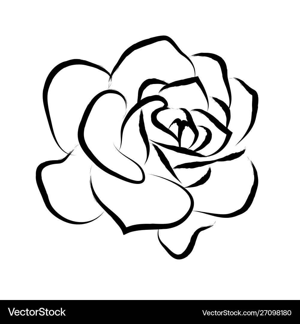 Line Drawing Black Roses In A White Background Vector Image