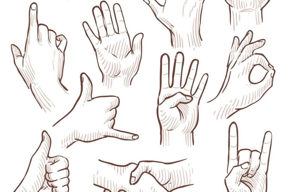 Line Drawing Doodle Hands Showing Common Signs Vector Collection Gesture Hand For Communication Illustration Of Sketching Hands Stock Vector Image U0026 Art Alamy