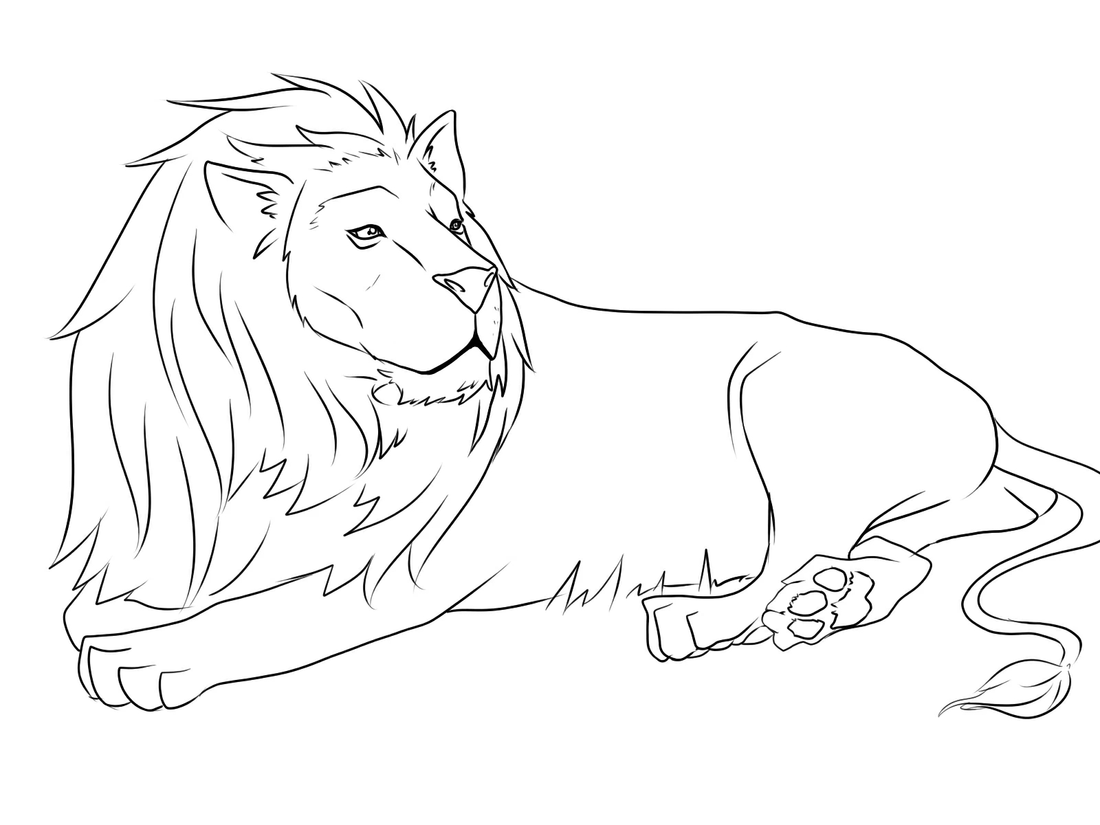 free coloring pages lion
