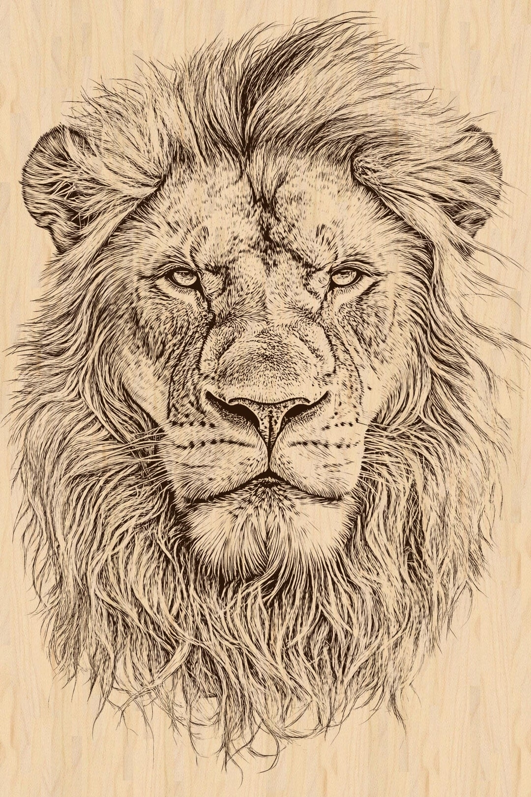 lion face drawing