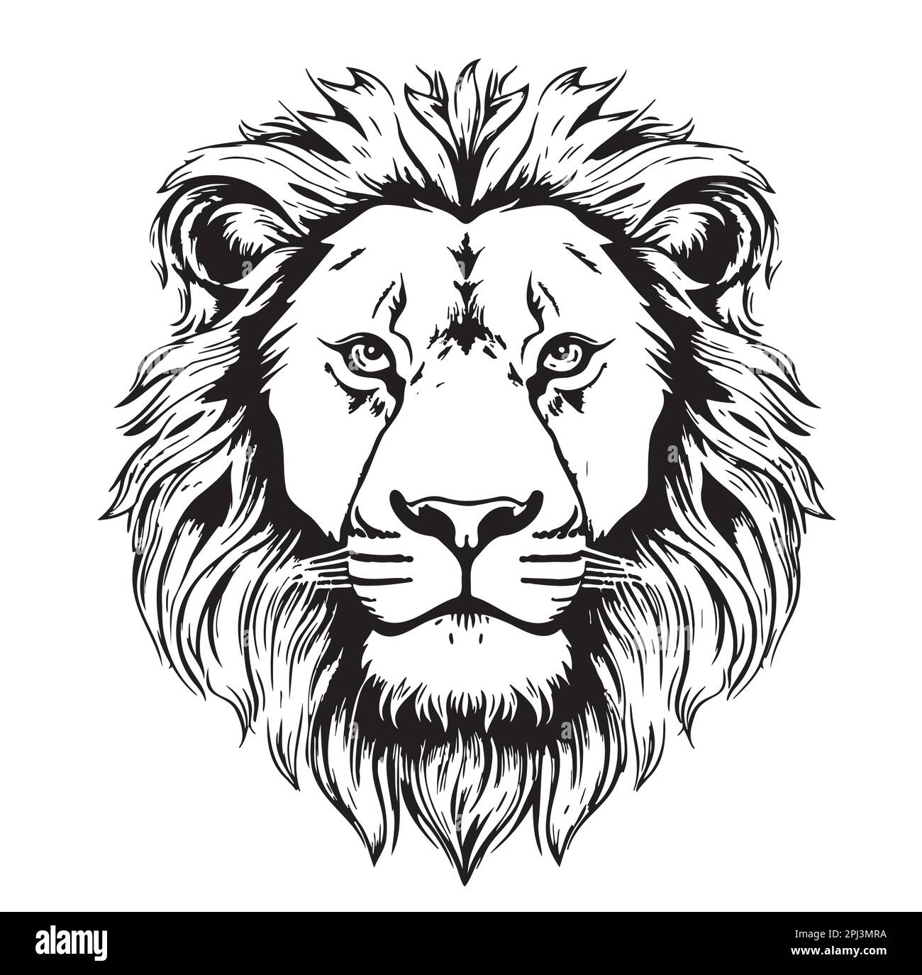 Lion Face Sketch Hand Drawn In Cartoon Style Illustration Stock Vector Image U0026 Art Alamy