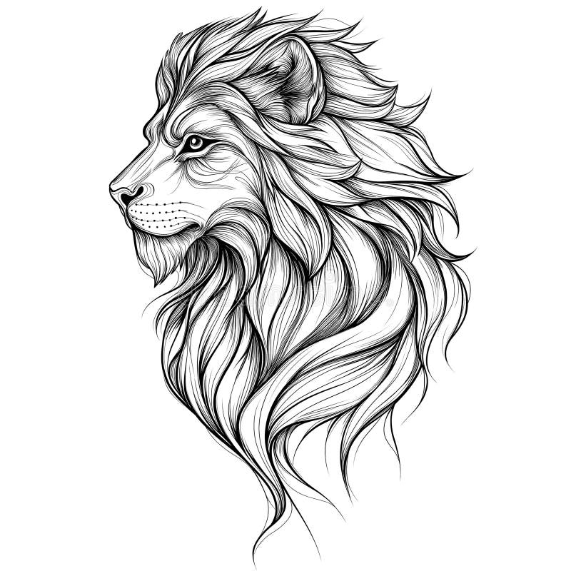 Lion Tattoo Outline Stock Photos Free U0026 Royalty Free Stock Photos From Dreamstime