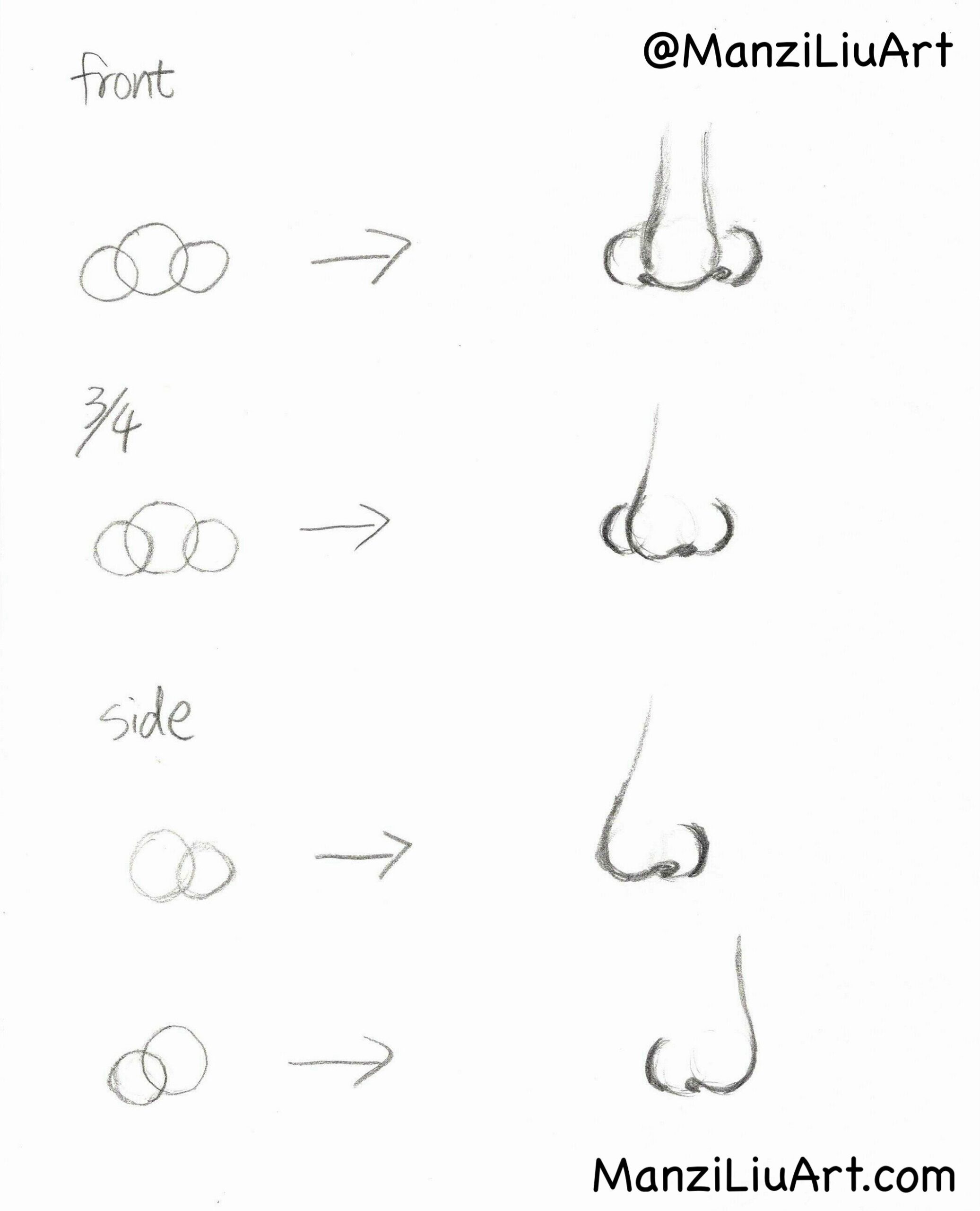 nose drawings