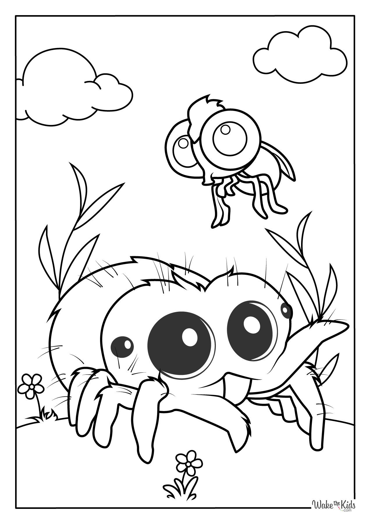 spider coloring sheets