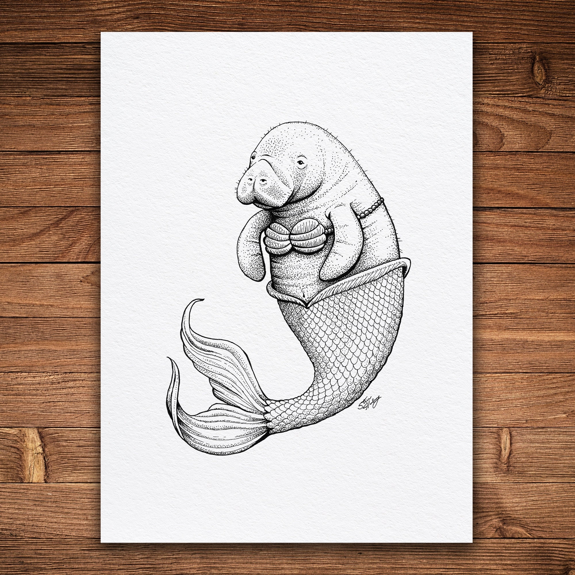 manatee drawing