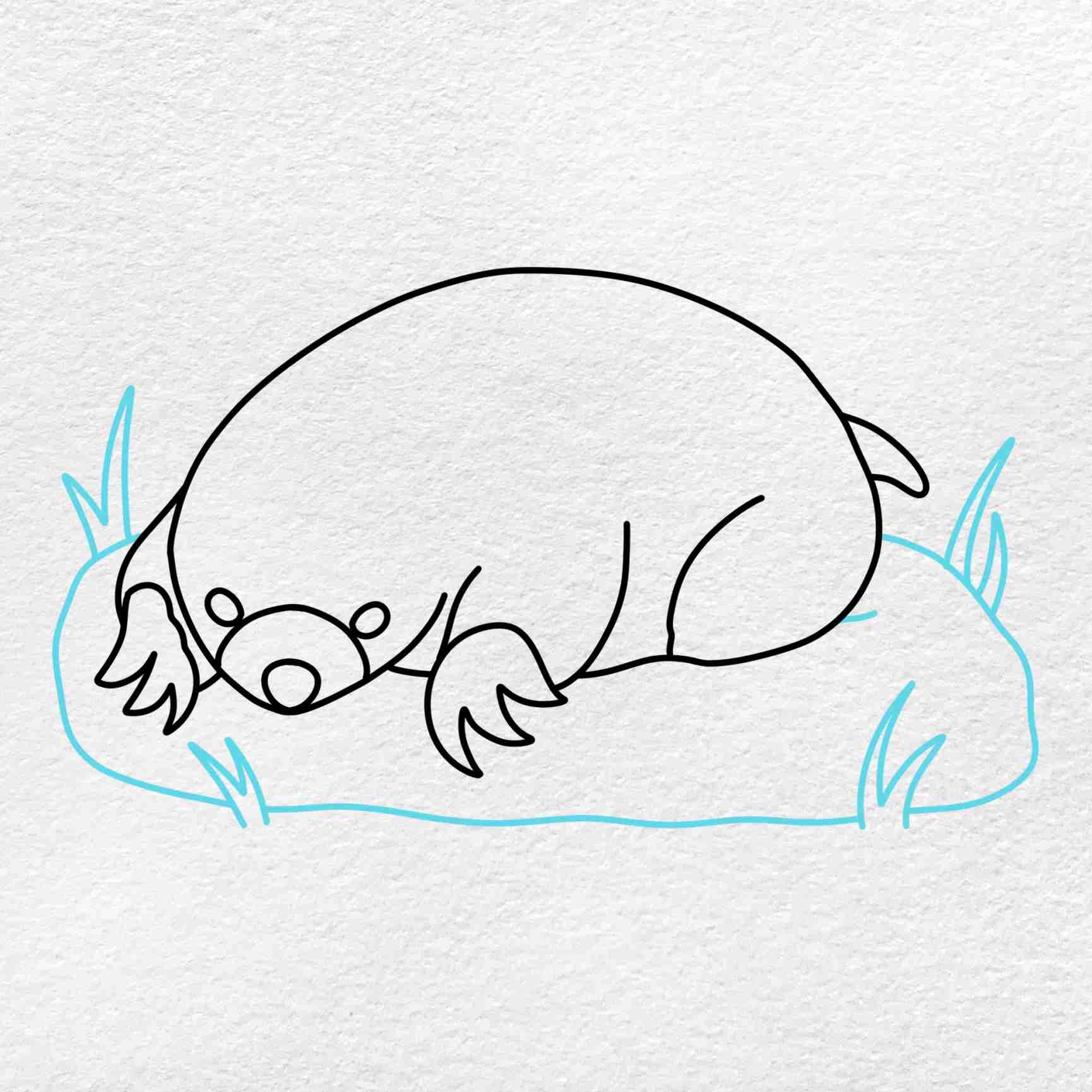 Mole Drawing HelloArtsy