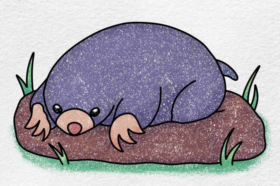 Mole Drawing HelloArtsy