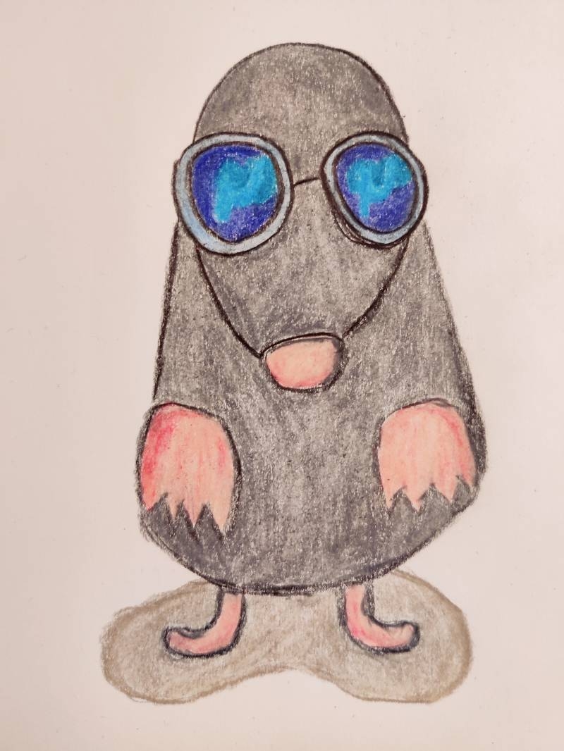mole drawing