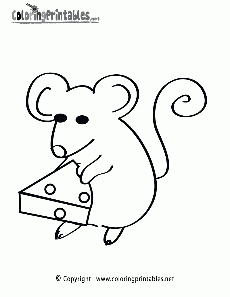 free printable rat drawing