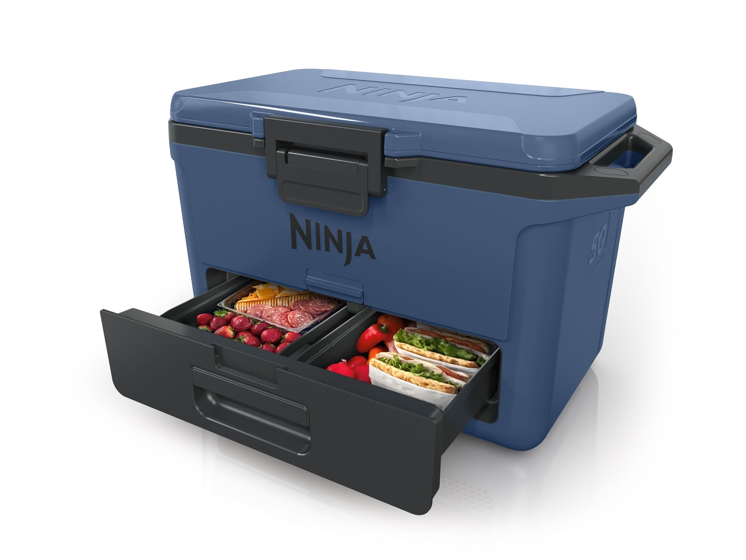 Ninja Frost Vault Review A Practical Affordable Cooler With 