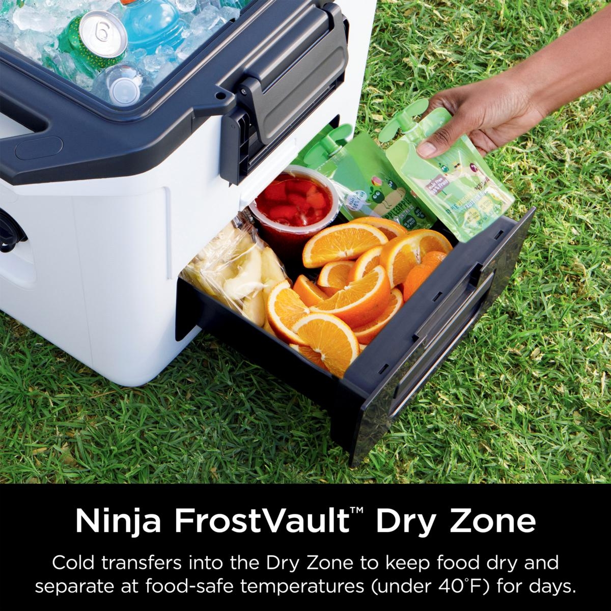 ninja cooler with drawer