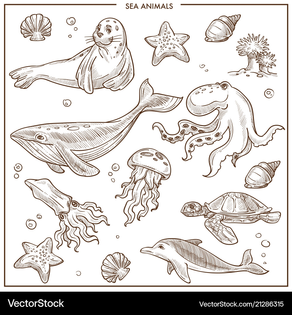 Ocean Animals Sketch Collection Royalty Free Vector Image