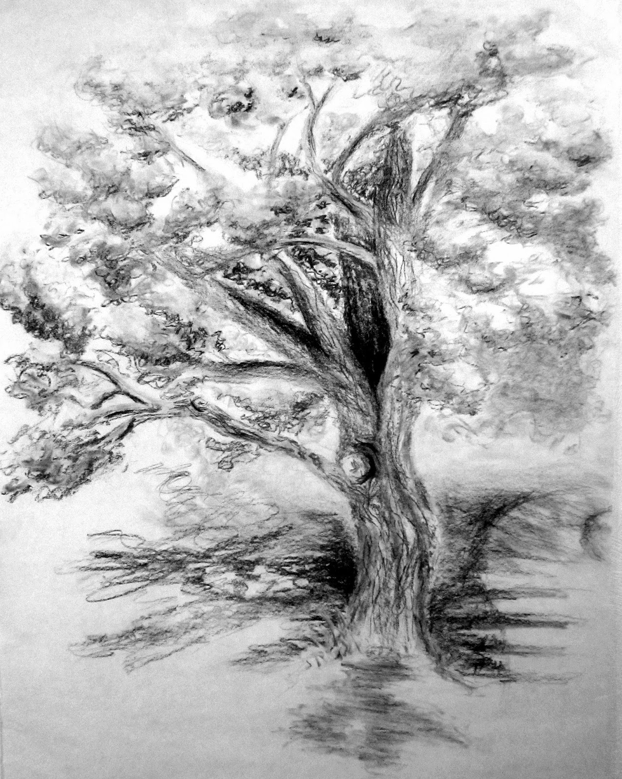 sketch drawing of tree