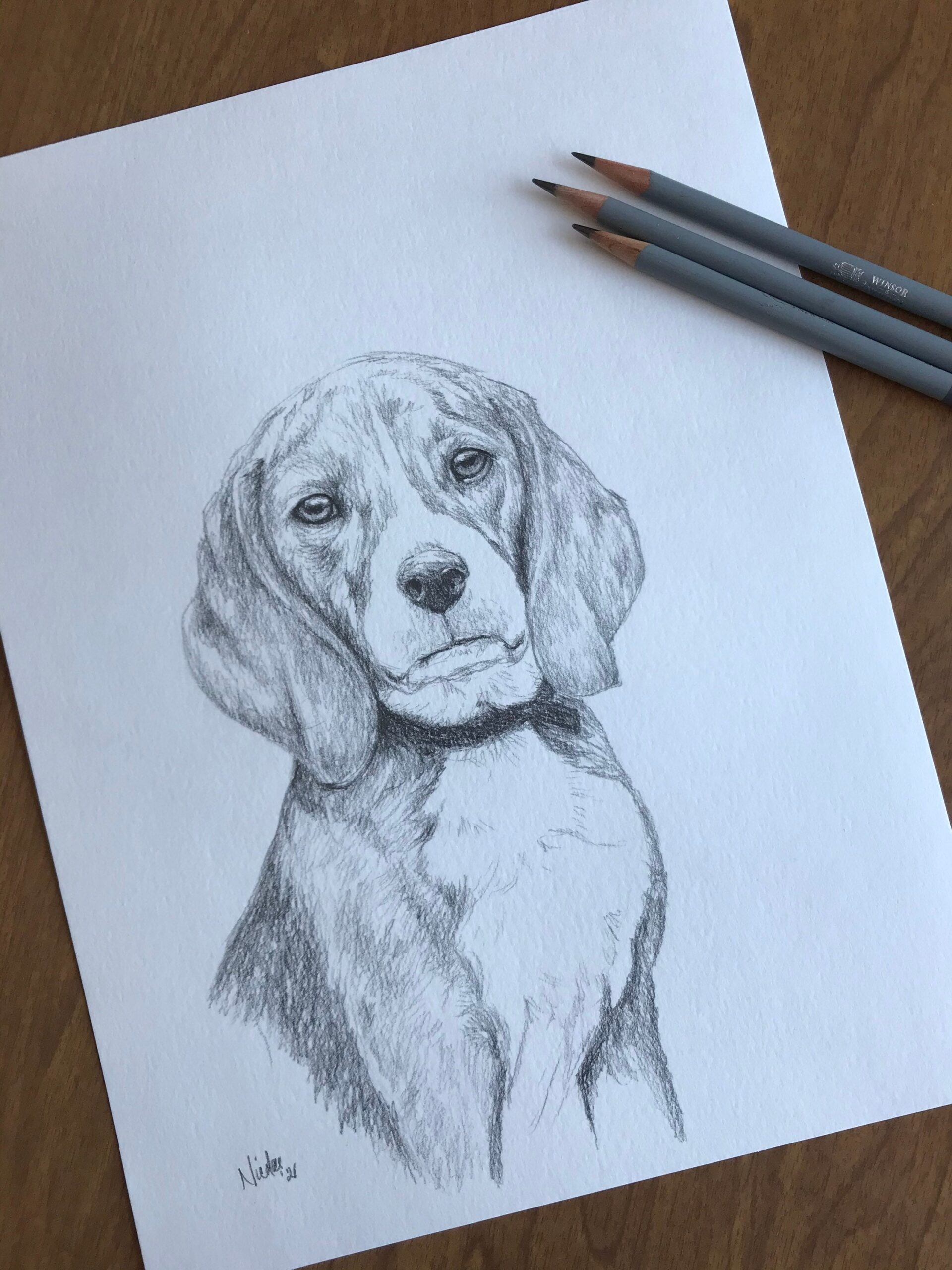 dog pencil drawing