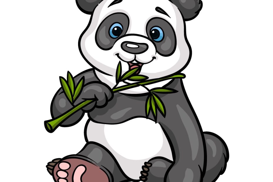 Panda Bear Drawing How To Draw Panda Bear Step By Step