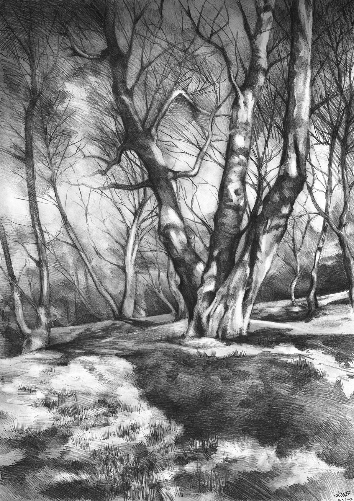 pencil drawing