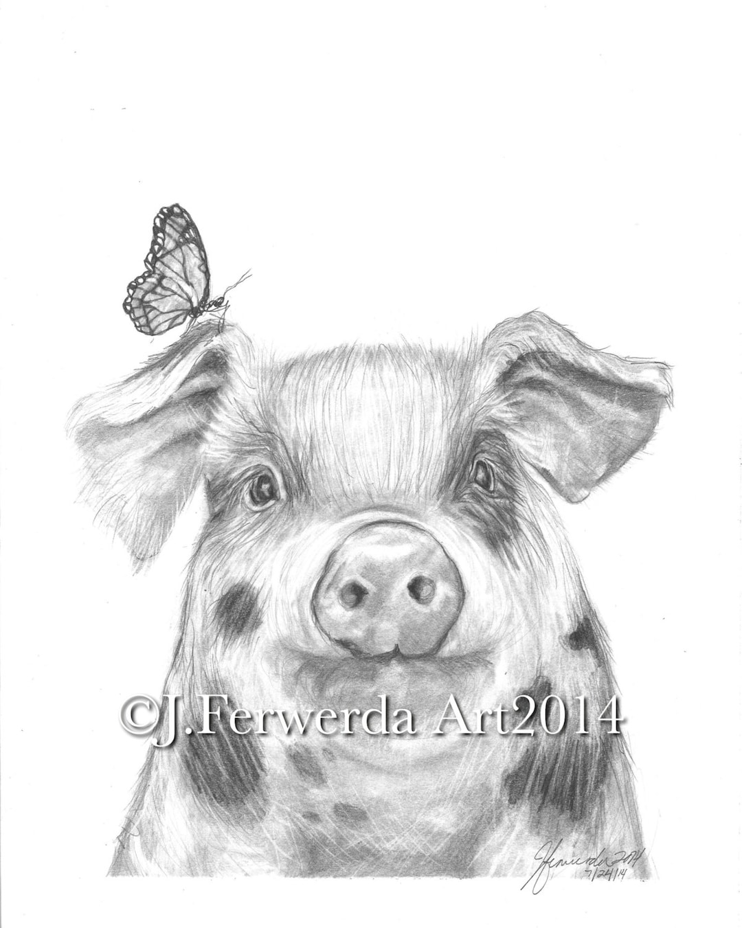 Pencil Drawing Print Pig With Wings Etsy