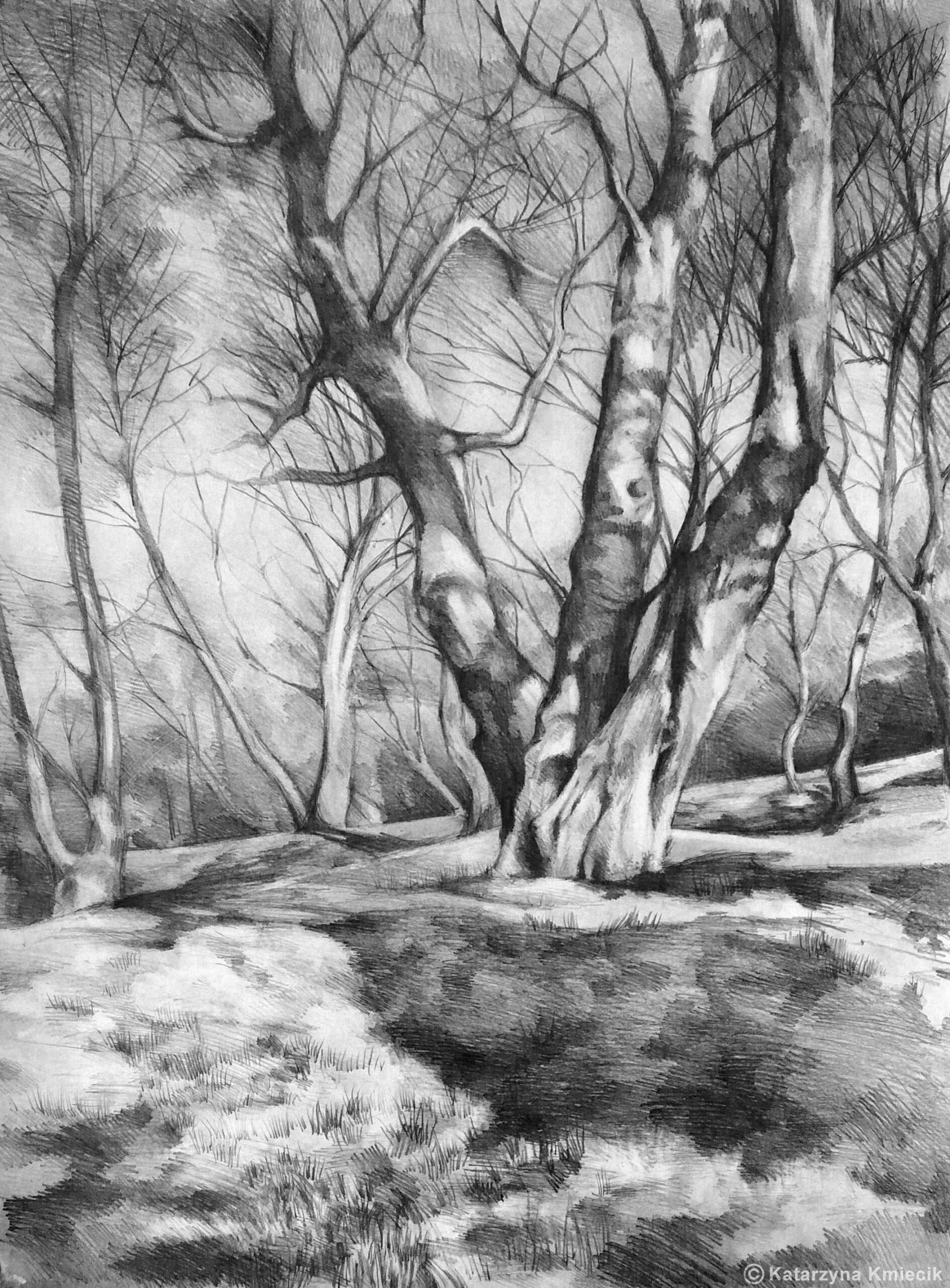 Pencil Landscapes Vol 1 Behance