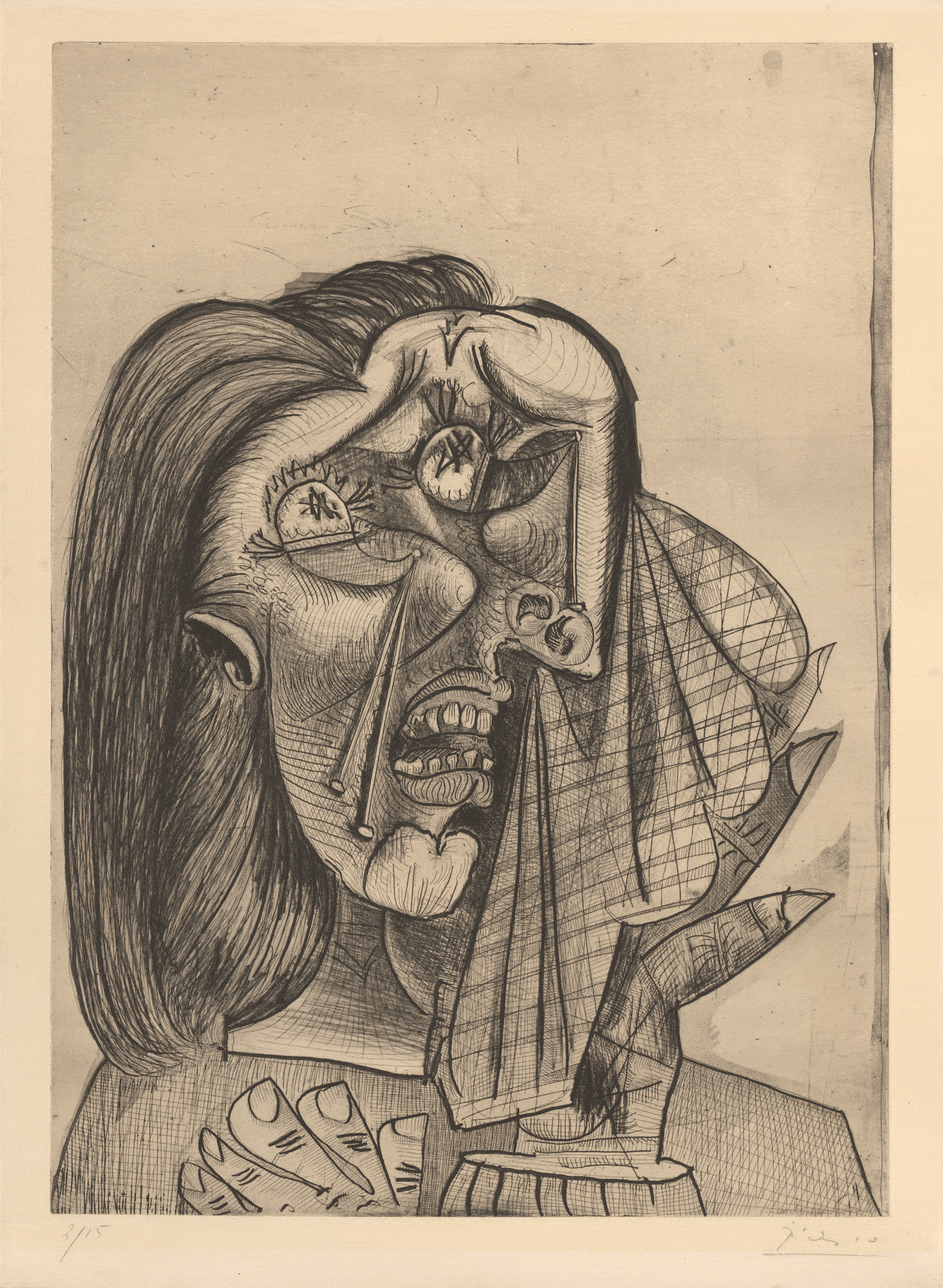 Picasso Drawing From Life At The Art Institute Of Chicago