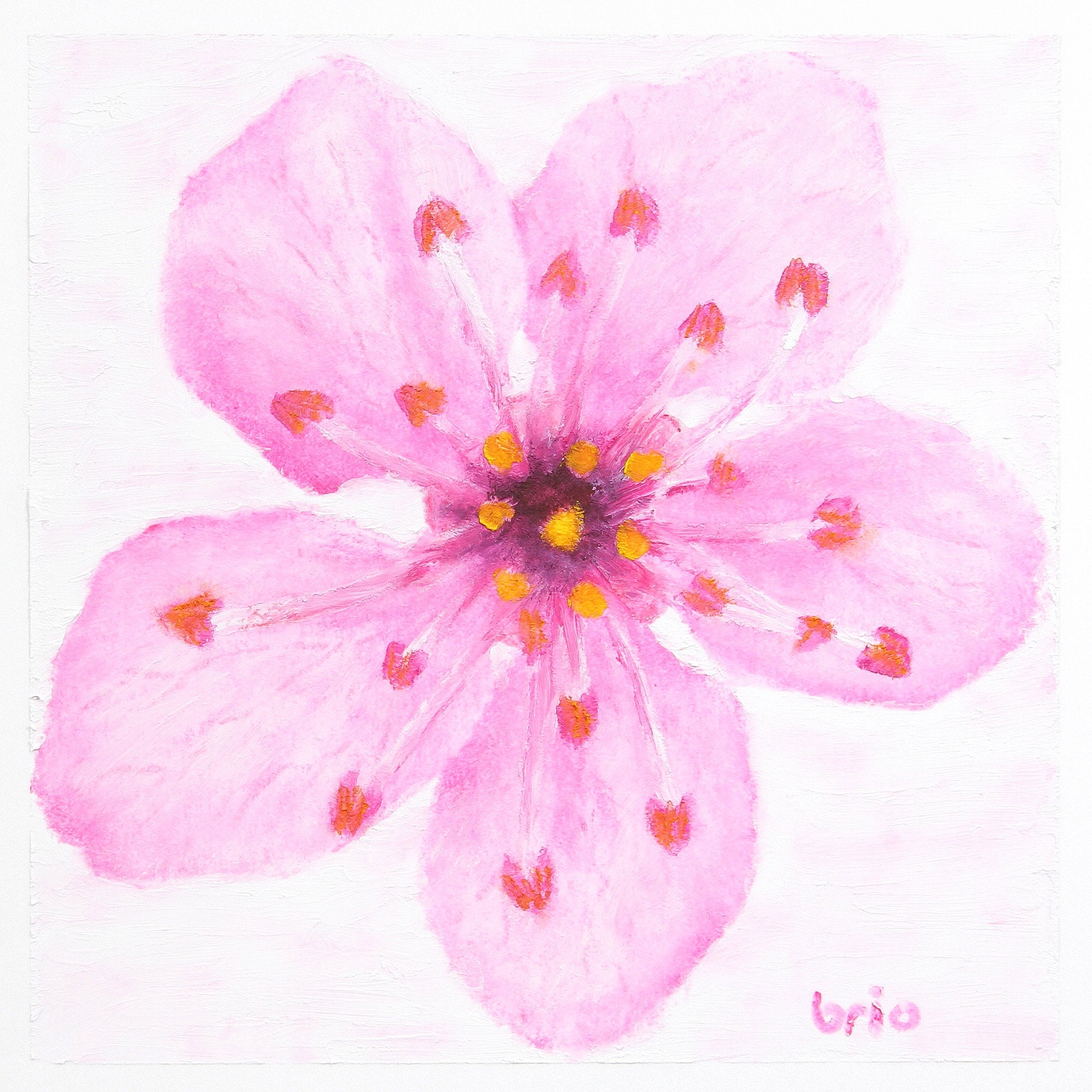 Pink Cherry Blossom Flower Drawing Done With Makeup