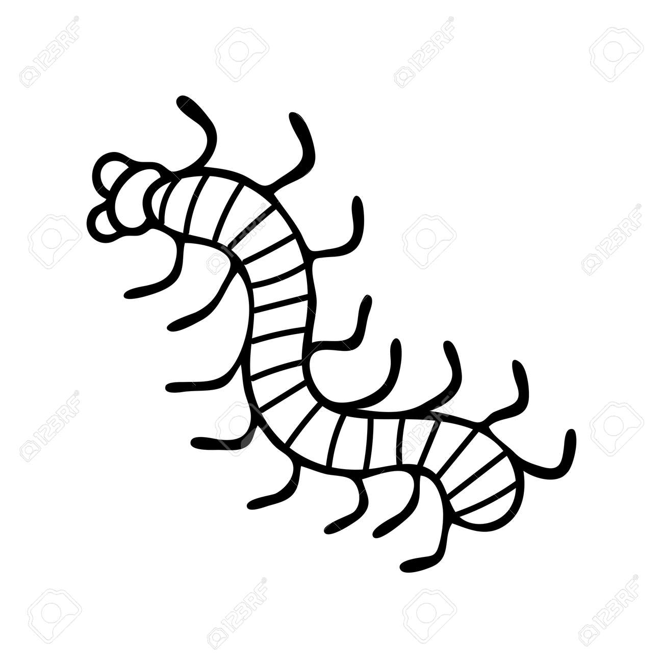 Poisonous Centipede Doodle Line Art Hand Drawing Vector 