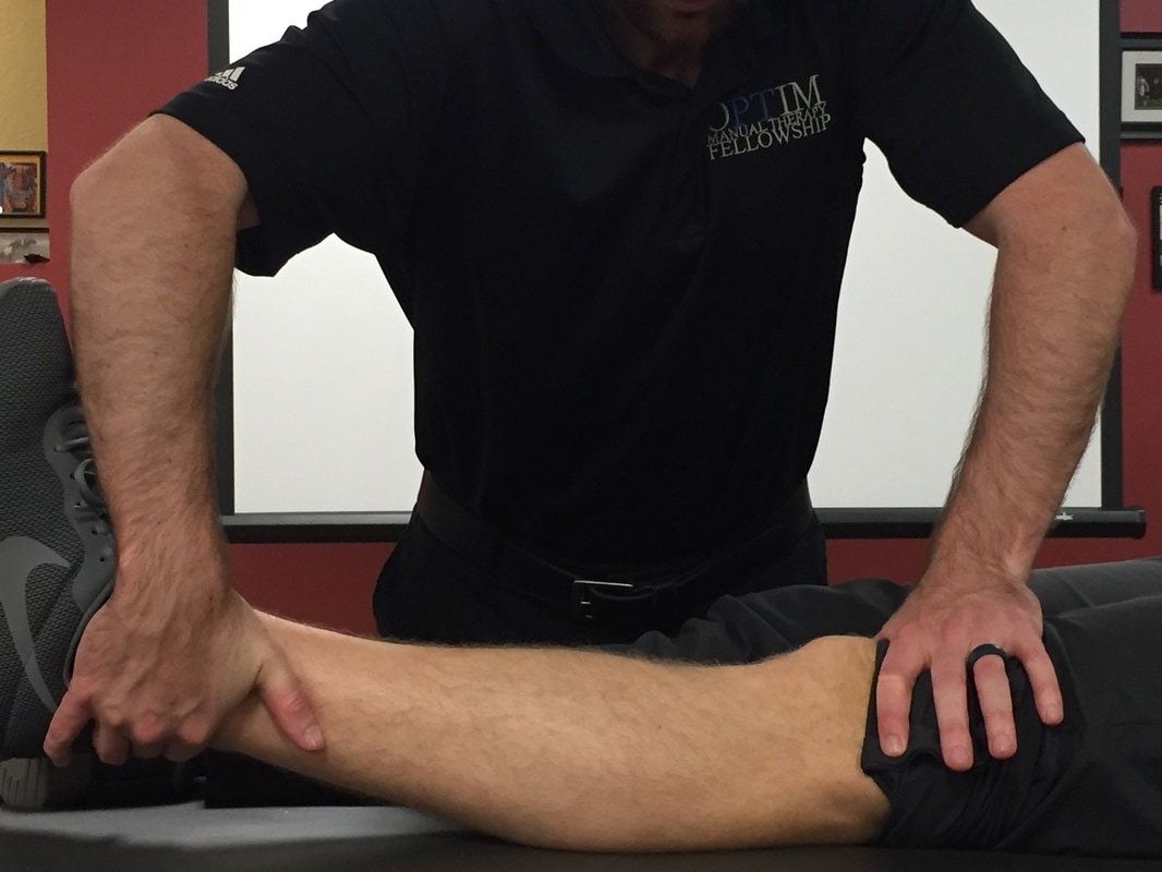 posterior drawer test