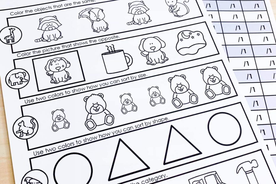 Preschool And Pre K Math Assessments For The Year