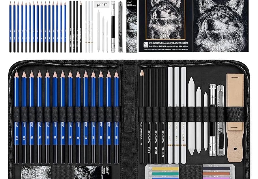 Prina 50 Pack Drawing Set Sketch Kit Sketching Supplies With 3 Color Sketchbook Graphite And Charcoal Pencils Pro Art Drawing Kit For Artists