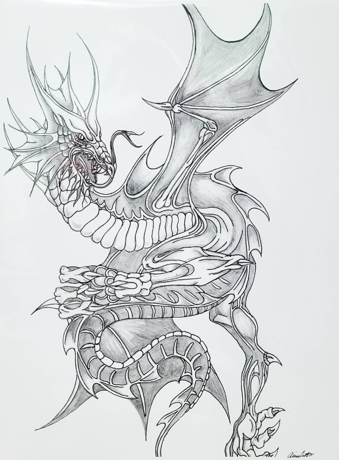 drawing dragons