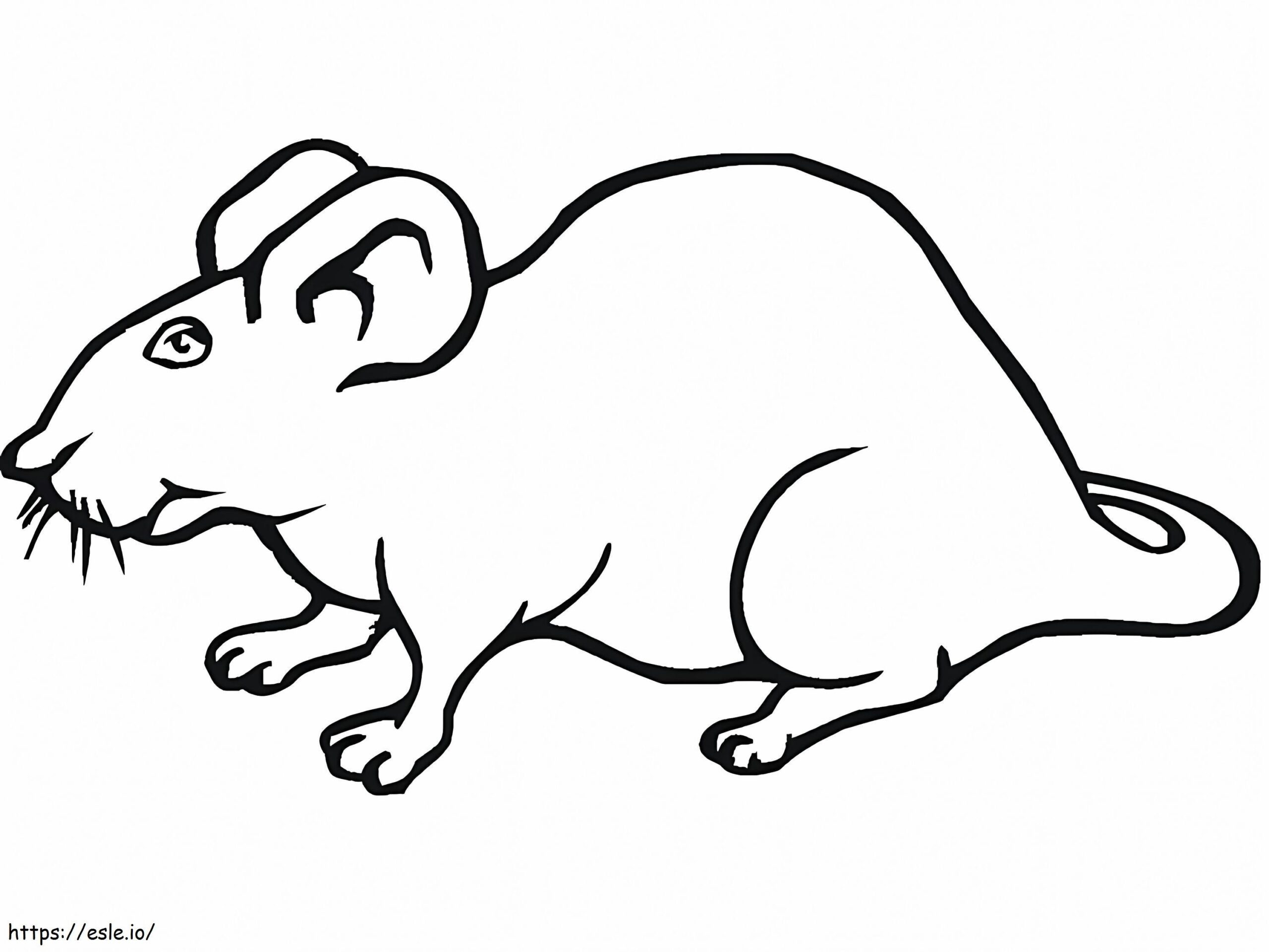 Printable Rat Coloring Page