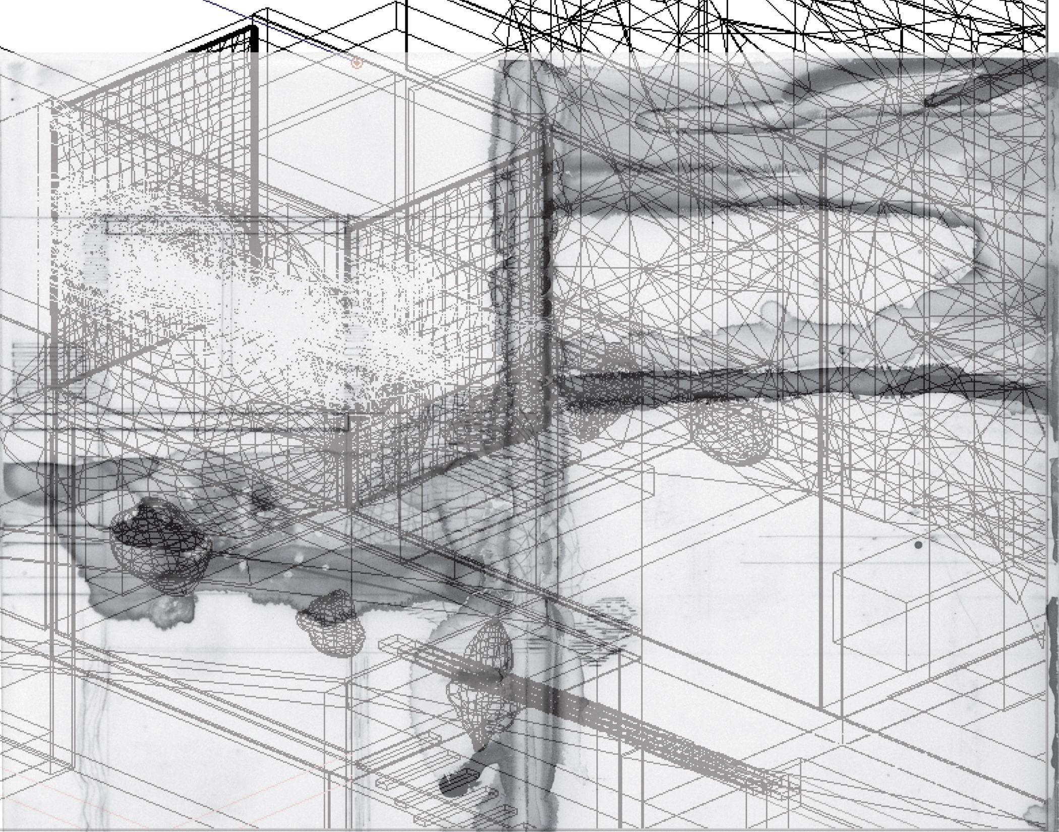 Projective Drawing Michelle Fornabai