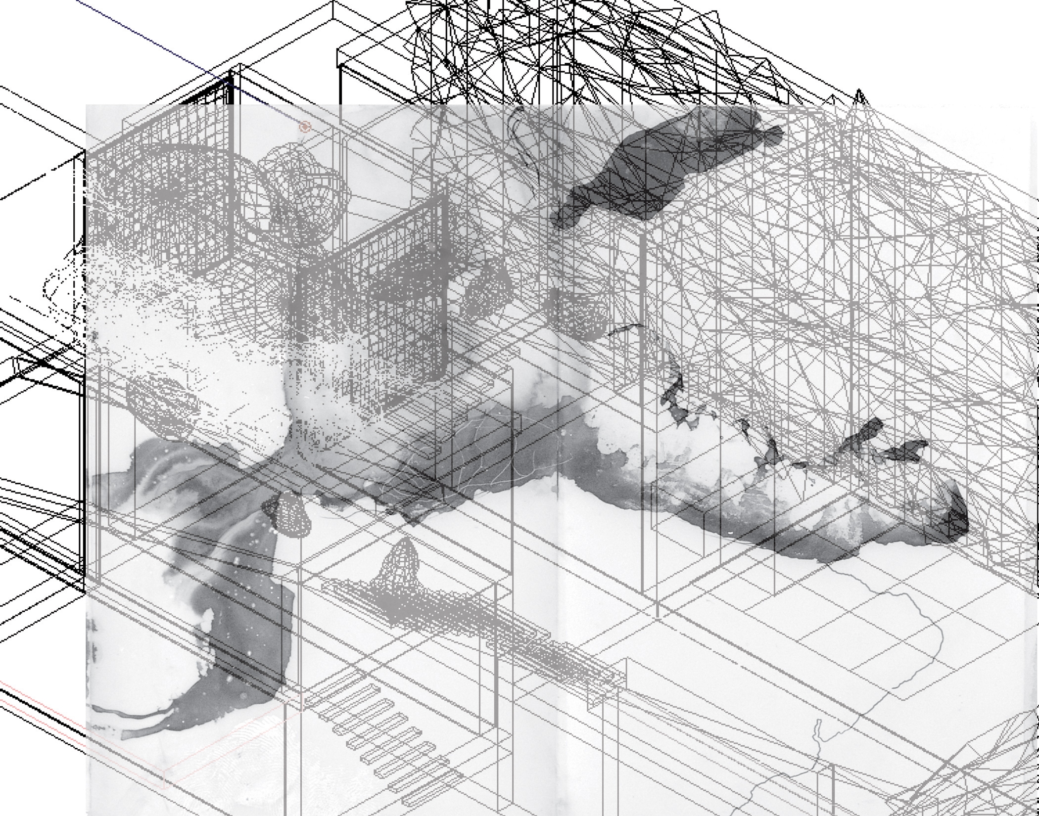 Projective Drawing Michelle Fornabai