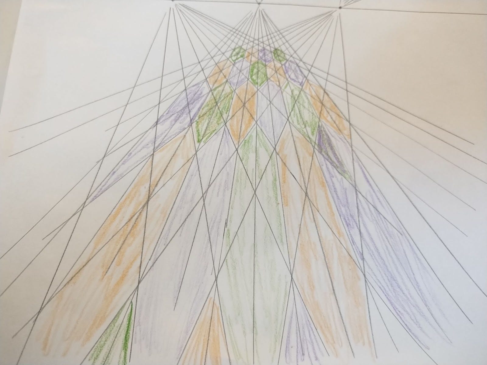 projective drawing