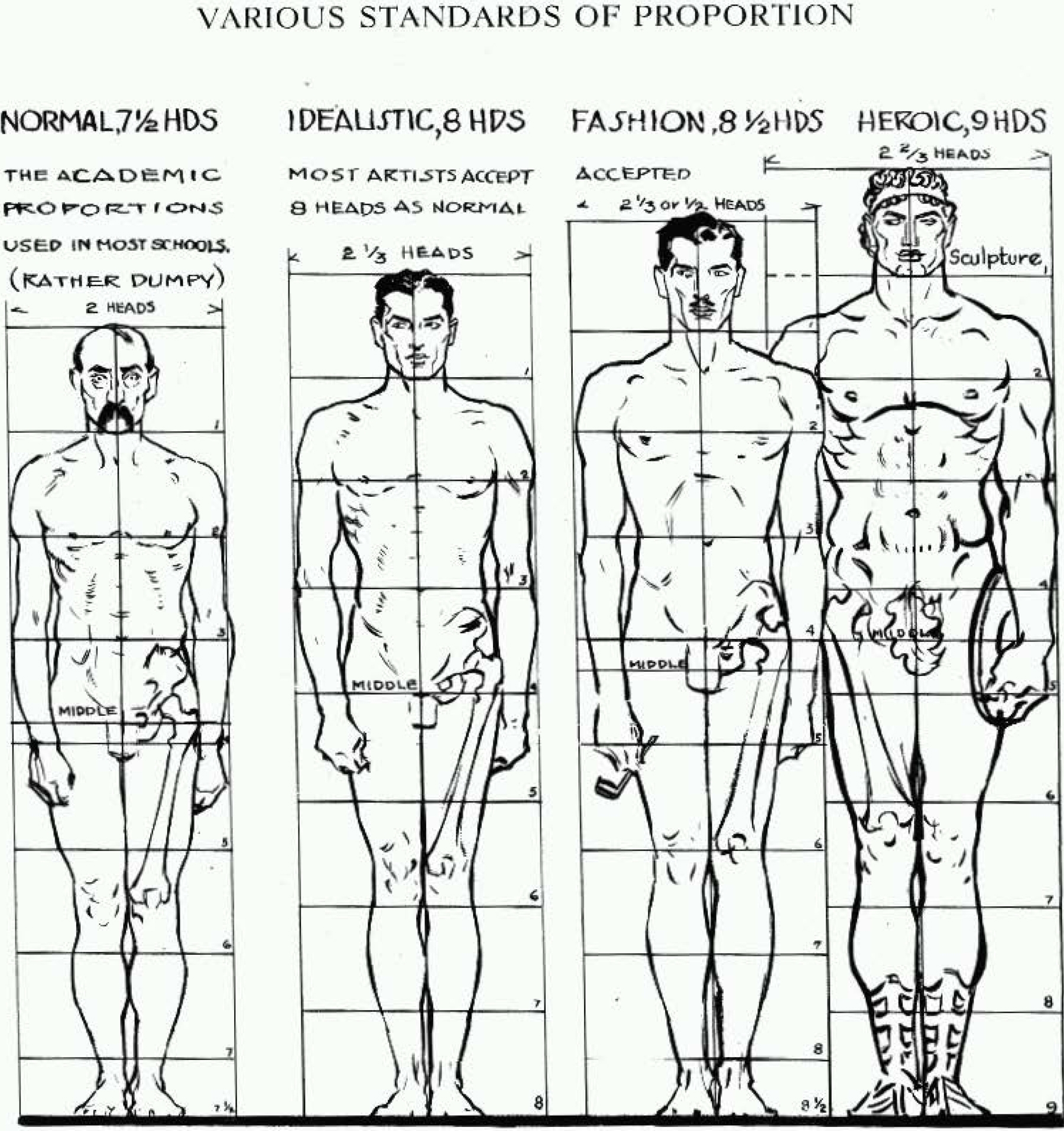 Proportions Of The Human Figure How To Draw The Human Figure In The Correct Proportions How To Draw Step By Step Drawing Tutorials
